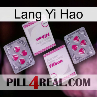 Lang Yi Hao 33
